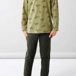 Name it jongens pyjama Dino pyjama Sage Dino kopen? (Katoen) Bekijk Online – Sliponline