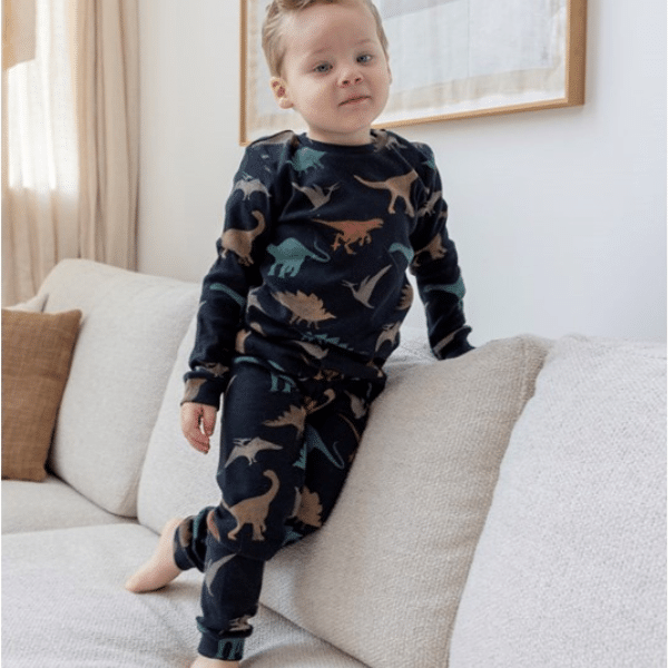 dino-pyjama-615dis.png 50500080 Feetje pyjama premium sleepwear Davy Dino antraciet - Afbeelding 1